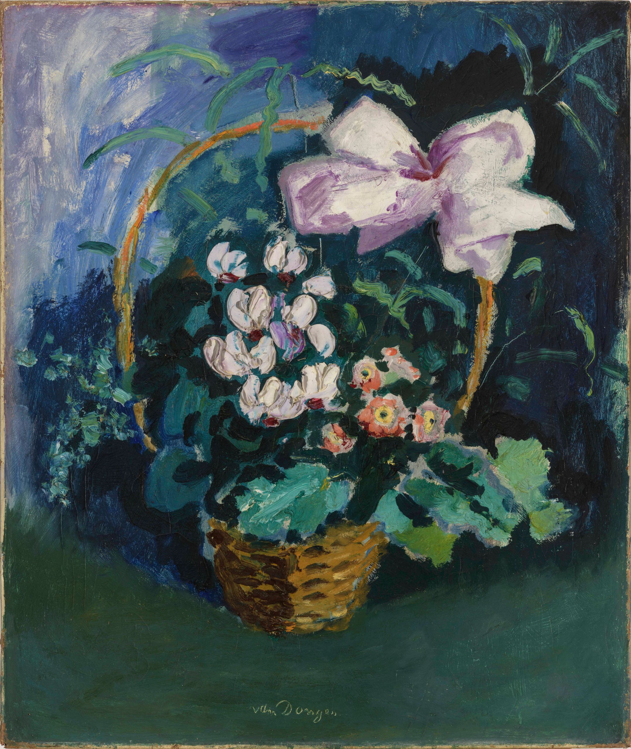 Corbeille de cyclamens